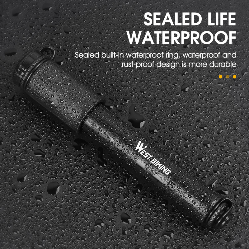 Pompa Mini per Bicicletta WEST - Bike Pump Frame Mount recensione e prezzo